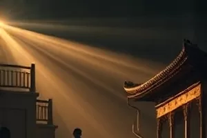 家庭剧《老槐树下的信》封面，树荫下放着一只旧木箱